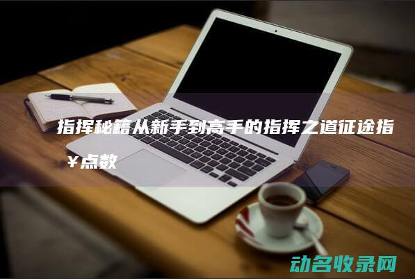 指挥秘籍 从新手到高手的指挥之道 征途 (指挥点数秘籍)