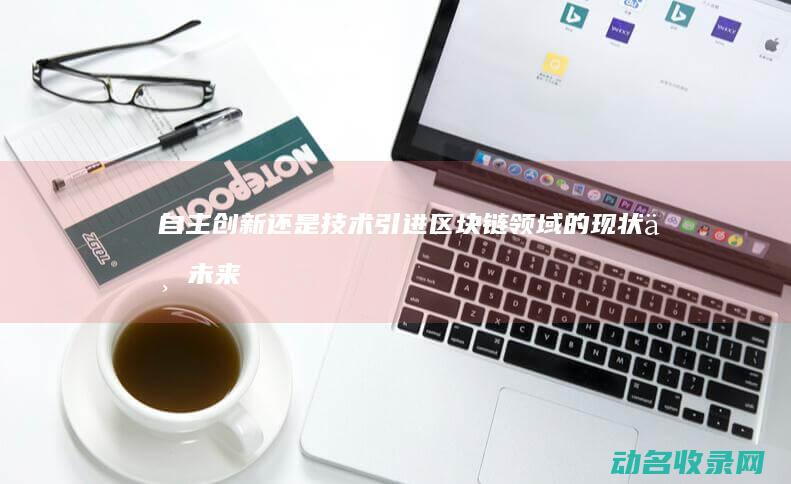 自主创新还是技术引进 区块链领域的现状与未来 (自主创新还是跨国创新)