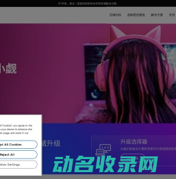 美光半导体
