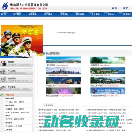 维尔斯猎头公司人才网